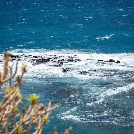 Retreat Oasis Lejlighed *