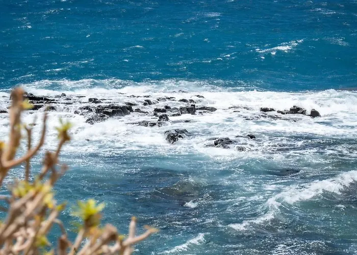 Retreat Oasis 公寓 *